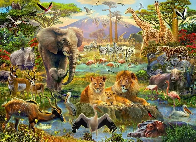 La inteligencia de los animales y la estupidez humana