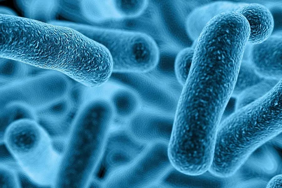 Bacterias al rescate