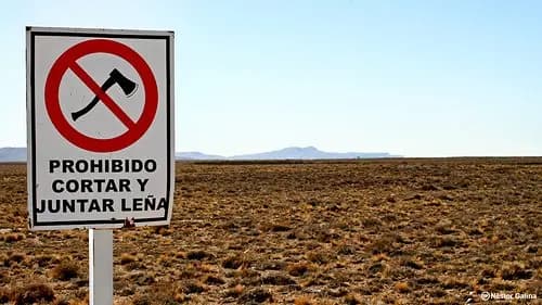 La responsabilidad de ser libres