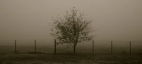 «Mi balance no es positivo”: Mi visión sobre lo que deja el conflicto del campo
