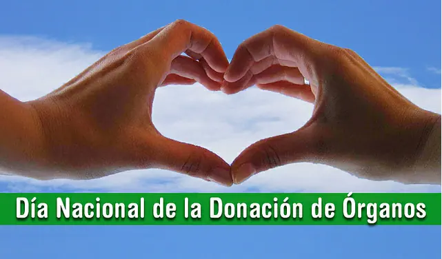 Trasplante de órganos: Pero… ¿qué pasa después?