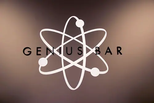 Work of a Genius